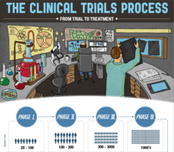 Phases of Clinical Trials